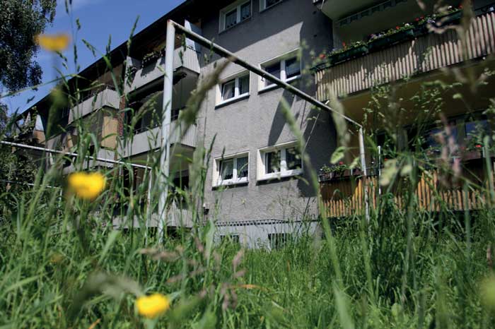 Kein Rasenschnitt am H&ouml;ffken, Foto: Matzel